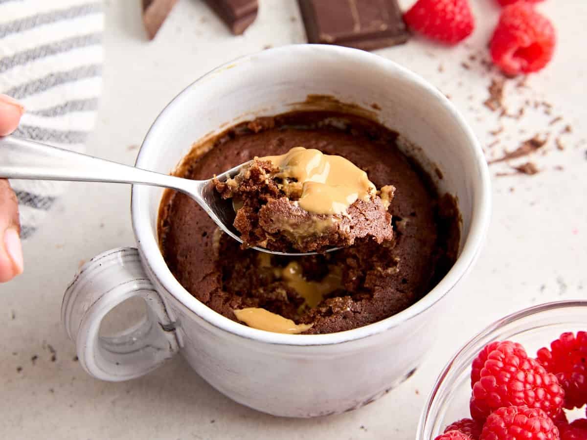 Chocolate Mug Cake Recipe – Budget Bytes