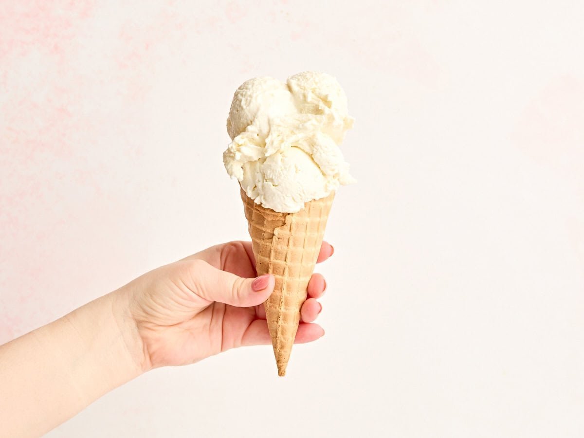 3 Ingredient Frozen Yogurt – Budget Bytes